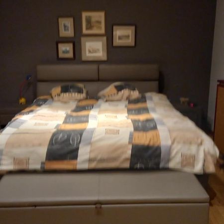 Luxe Appartement Met 3 Slaapkamers En 1 Kingsize Bed Slaapzetel En Drie Dubbelbedden Dendermonde Eksteriør bilde