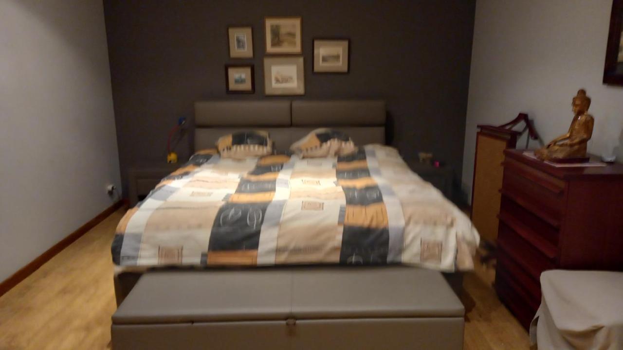 Luxe Appartement Met 3 Slaapkamers En 1 Kingsize Bed Slaapzetel En Drie Dubbelbedden Dendermonde Eksteriør bilde